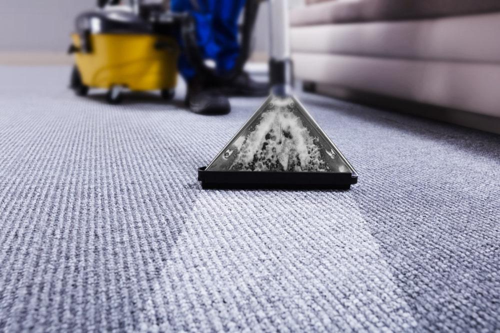 Professional Carpet Cleaning Tool in Action